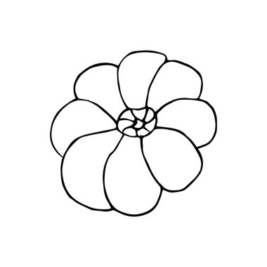 Küçük balkabağı, en iyi manzara. El çizim krokisi. Beyaz arka planda siyah anahat. Vektör illüstrasyon. Eps10