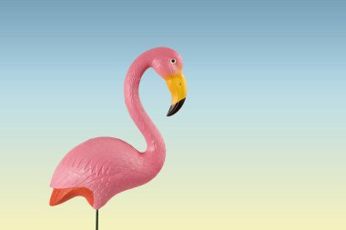 mavi bir arka plan üzerinde Pembe Flamingo