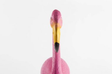 pembe arka plan üzerinde pembe flamingo