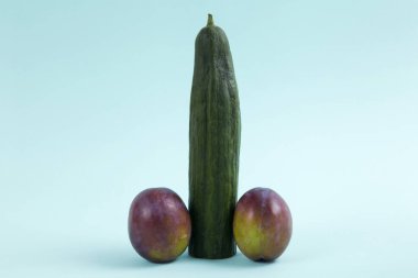 penis cucumber