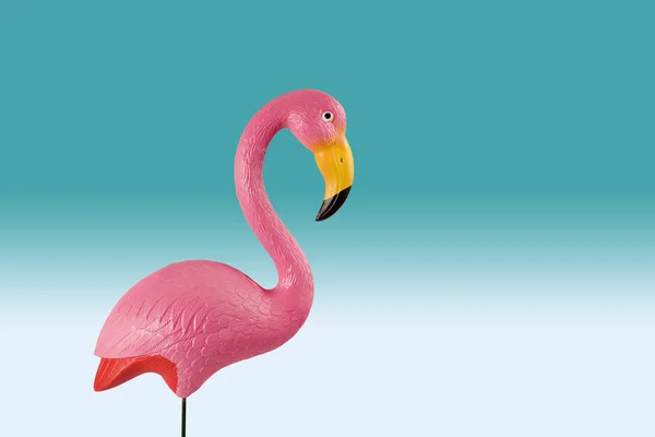 Mavi degrade arka plan üzerinde pembe flamingo — Stok fotoğraf