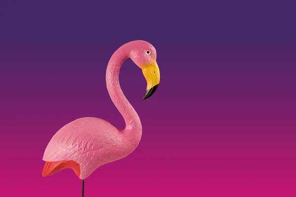 Pembe arka plan üzerinde pembe flamingo — Stok fotoğraf