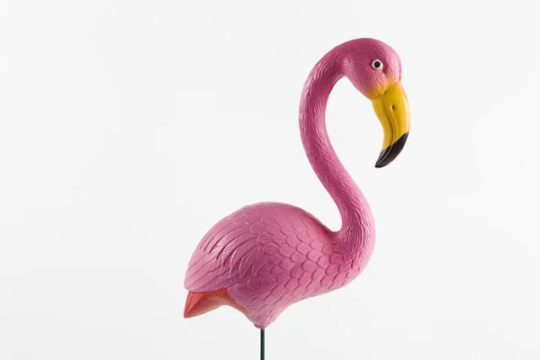 Pink flamingo on a pink background — Stock Photo, Image
