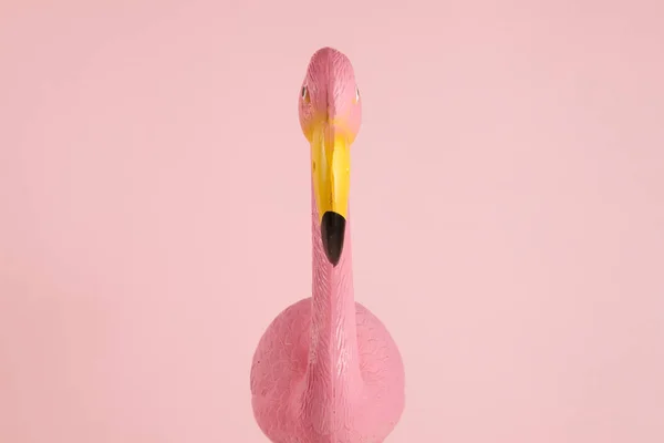 ピンクの背景にピンクのフラミンゴ — ストック写真