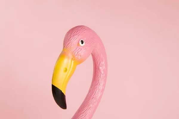 Flamingo rosa em um fundo rosa — Fotografia de Stock