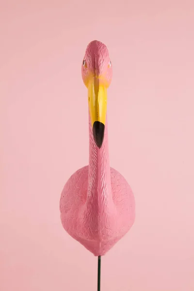 Рожевий фламінго на рожевому фоні — стокове фото