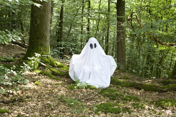 Duch w lesie — Zdjęcie stockowe