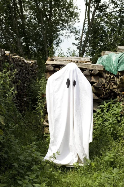 Biały duch przed drewniane ułożone — Zdjęcie stockowe