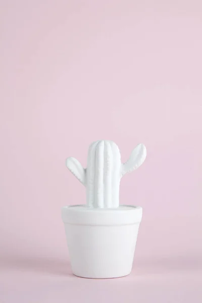 Kaktusfarbe — Stockfoto