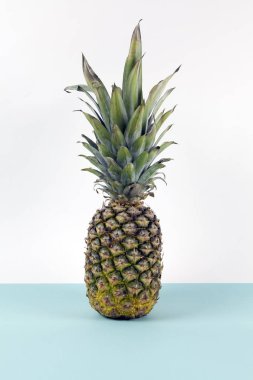 Ufuk gibi bir pop iki renkli arka plan turkuaz ve beyaz üzerinde eğlenceli ananas. Minimal tasarım natürmort fotoğrafçılığı.