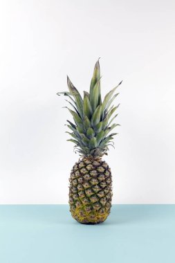 Ufuk gibi bir pop iki renkli arka plan turkuaz ve beyaz üzerinde eğlenceli ananas. Minimal tasarım natürmort fotoğrafçılığı.