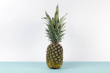 Ufuk gibi bir pop iki renkli arka plan turkuaz ve beyaz üzerinde eğlenceli ananas. Minimal tasarım natürmort fotoğrafçılığı.