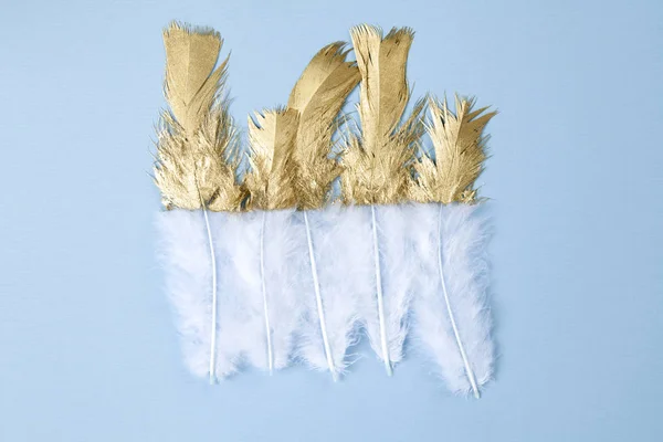 Gold feather — Stock Photo, Image