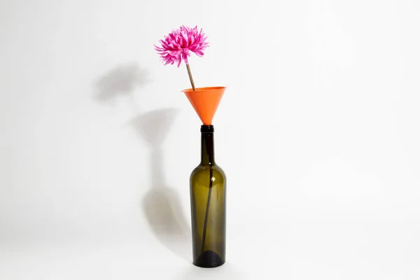 Verrückte Stillleben Flasche und Blume — Stockfoto
