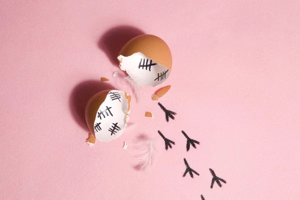 Yumurtadan kaçış — Stok fotoğraf