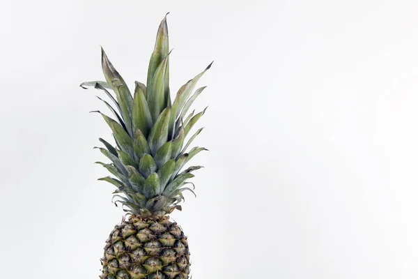 Lekfull Ananas Pop Bicolor Bakgrund Turkos Och Vit Som Horisont — Stockfoto