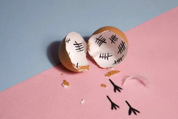 Escape from egg — Stock Photo, Image