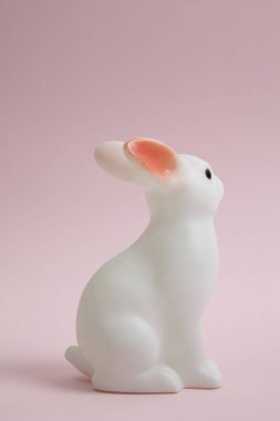 pembe tavşan tavşan