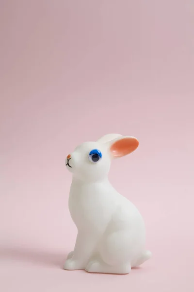Bunny göz bebek — Stok fotoğraf
