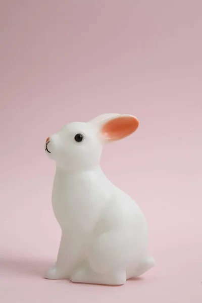 Pembe tavşan tavşan — Stok fotoğraf