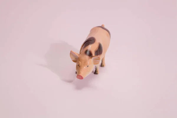 Pig plastic figurine pink background — Stock Photo, Image