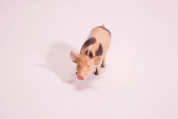 Pig plastic figurine pink background — Stock Photo, Image