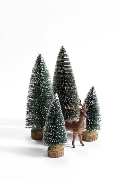 Forest firs and reindeer — Stock Photo, Image
