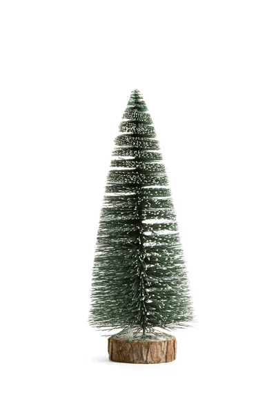 Isolated fir — Stock Photo, Image
