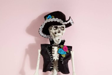 Pembe Meksika iskeleti