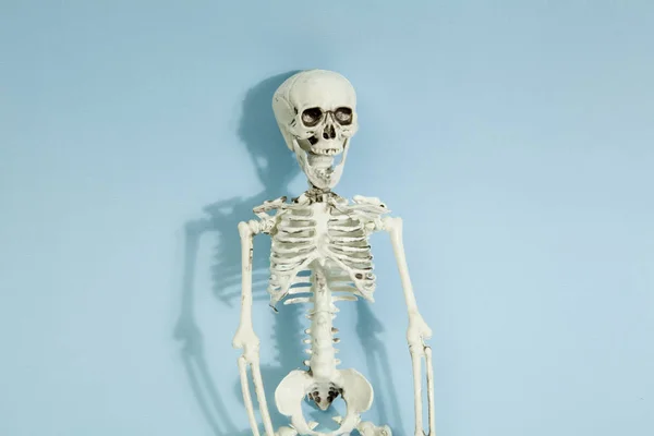 Esqueleto azul —  Fotos de Stock