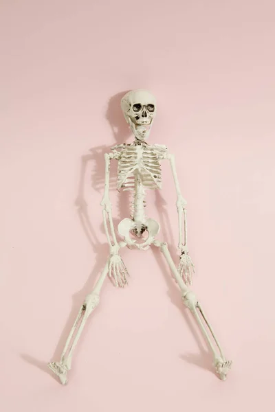 Esqueleto rosa —  Fotos de Stock