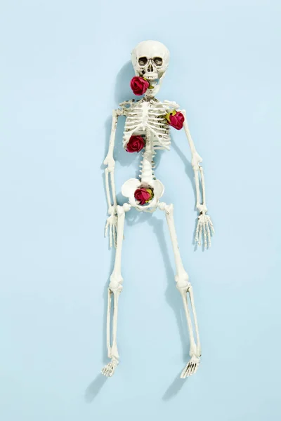 Скелет троянди — стокове фото