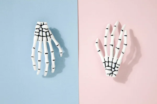 Bicolor skelet hand — Stockfoto