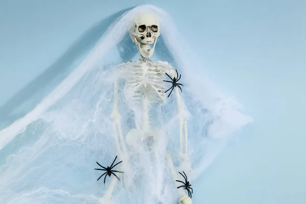 Скелет павука — стокове фото
