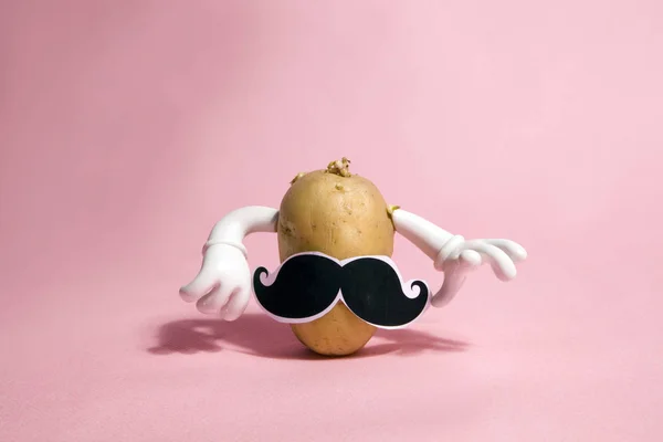 Señora y señor patato — Foto de Stock