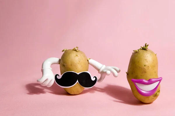 Mrs and mister patato — Stock Photo, Image