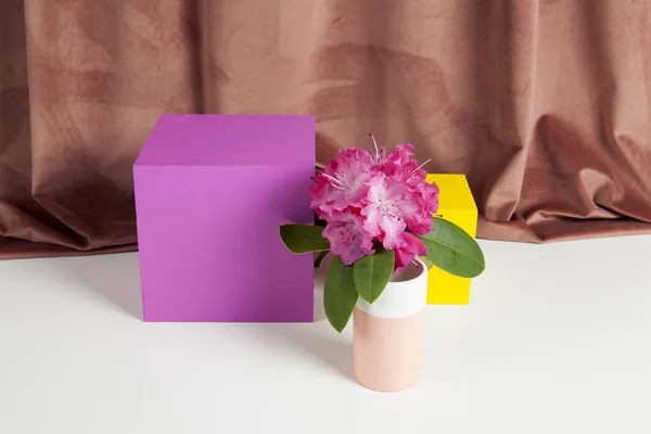 幾何学的な色の立方体およびピンクの花ロドデンドロン — ストック写真