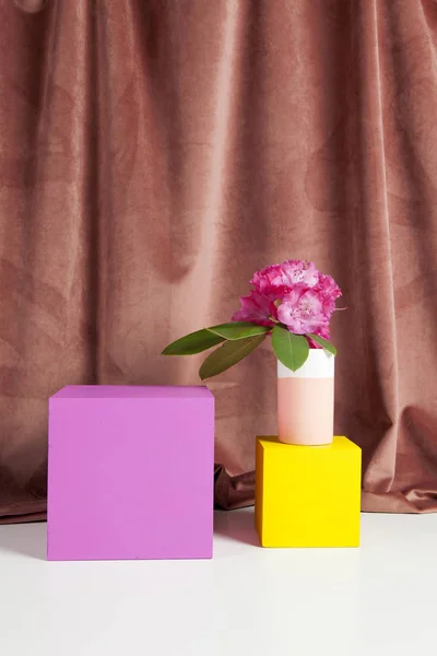 幾何学的な色の立方体およびピンクの花ロドデンドロン — ストック写真