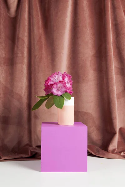 ピンクの立方体とピンクの花ロドデンドロン — ストック写真