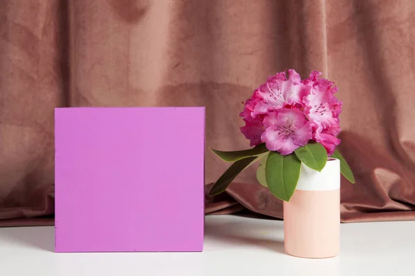ピンクの立方体とピンクの花ロドデンドロン — ストック写真