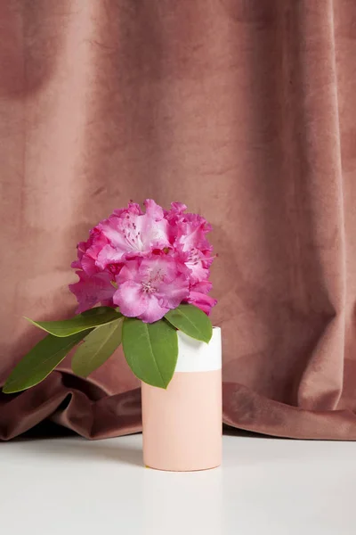 Rosa Blumen Rhododendron Samtvorhang — Stockfoto