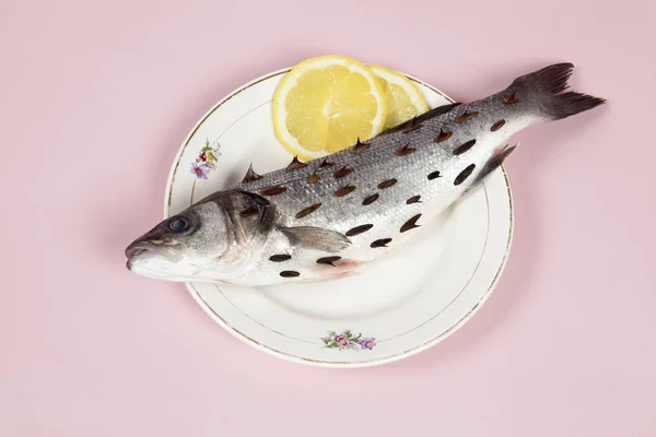 Fisch rosa Teller Rosensträucher Dornen — Stockfoto