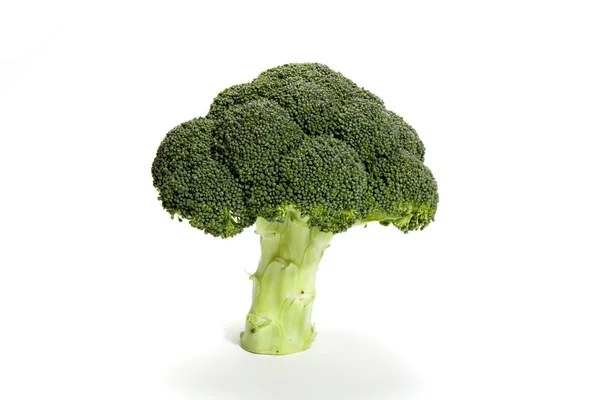 Isolierter Brokkoli auf weißem Hintergrund — Stockfoto