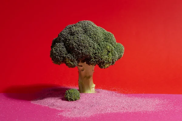 pink red broccoli and sand