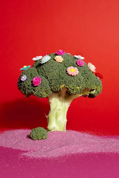 pink red broccoli flowers and sand