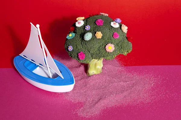 ピンクの赤いブロッコリーの花とおもちゃのボート — ストック写真