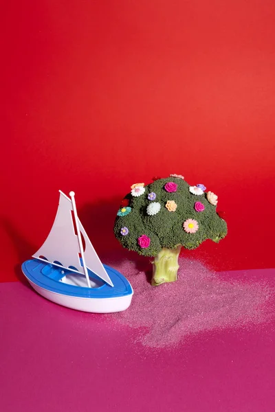 Rosa flores de brócoli rojo y barco de juguete —  Fotos de Stock