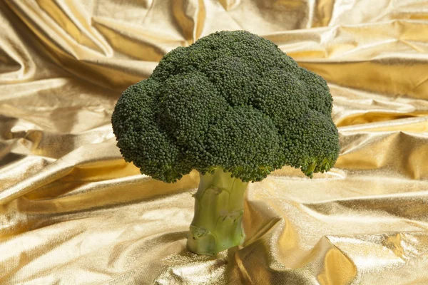 Broccoli on gold fabric — Stock Photo, Image