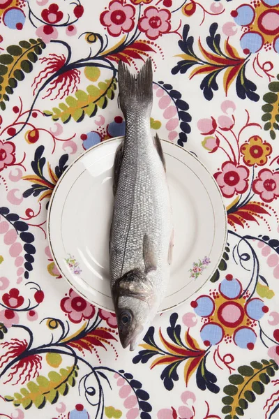 Bass fish inside a flower plate Royalty Free Stock Images