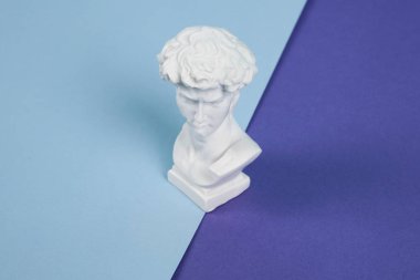 reçine büstü çift renk